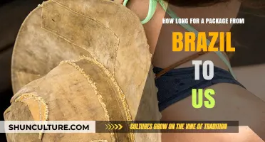 Shipping from Brazil to the US: Expected Delivery Time Explained