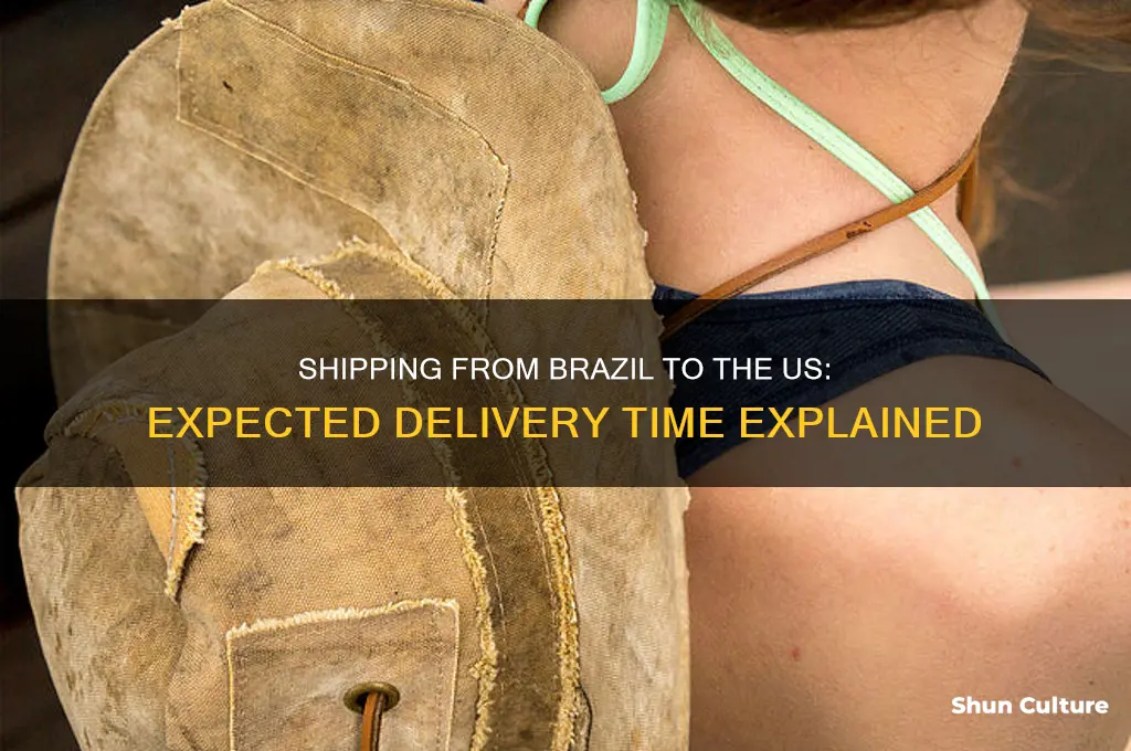 how long for a package from brazil to us