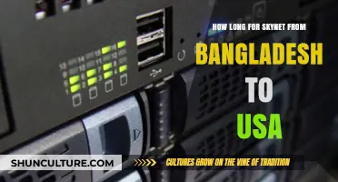 Skynet's Journey: Bangladesh to USA Timeline and Technological Feasibility