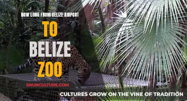 Belize Zoo Adventure: Navigating the Journey from the Airport