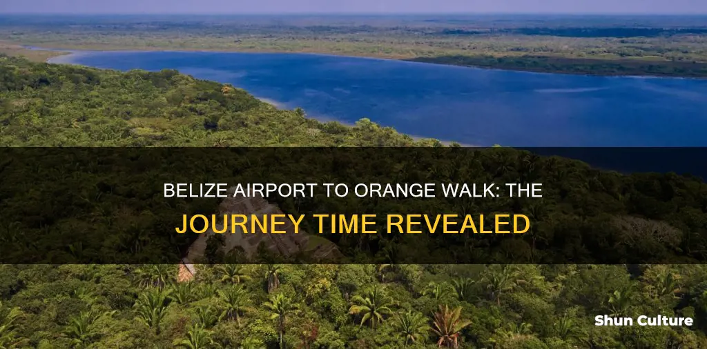 how long from belize airport to orange walk