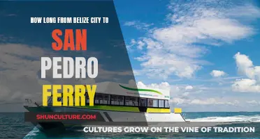 Belize City to San Pedro: Ferry Travel Time and Tips