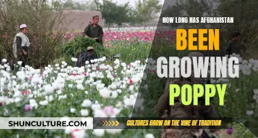 The Poppy Problem: Afghanistan's Historical Relationship with Opium