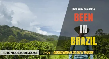 Apple's Journey in Brazil: A Timeline of Its Presence and Impact