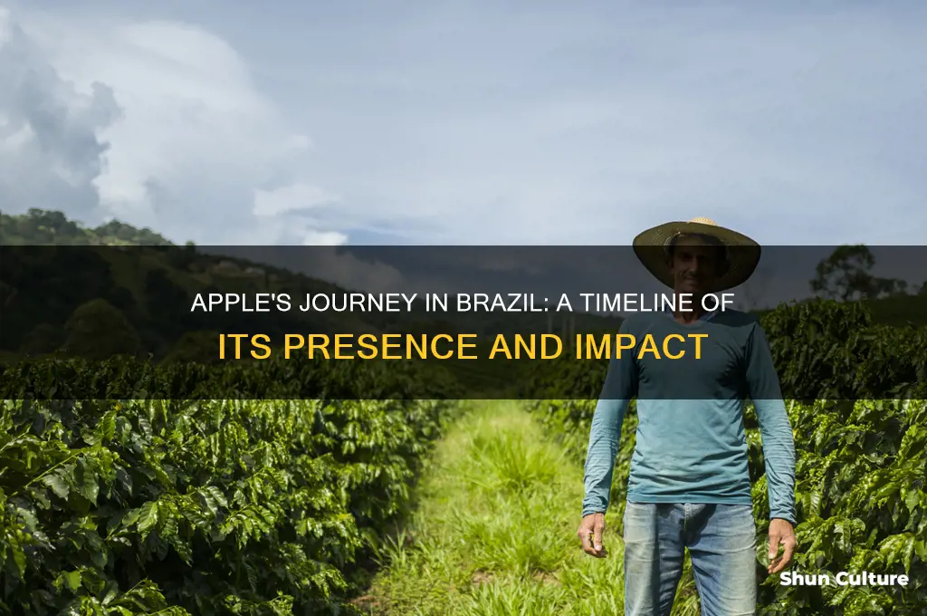 how long has apple been in brazil