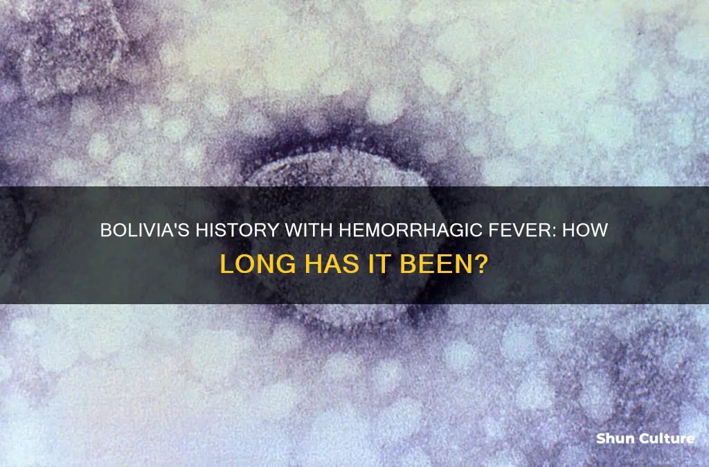 how long has bolivia had hemorrhagic fever