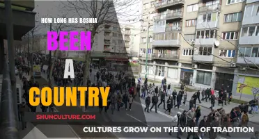 Bosnia's Independence Journey: A Historical Timeline of Its Sovereignty