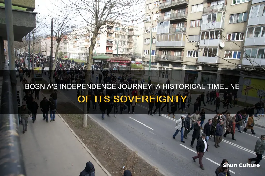 how long has bosnia been a country