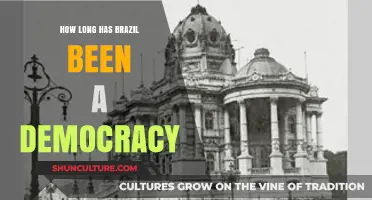 Brazil's Democratic Journey: A Historical Overview of Its Political Evolution