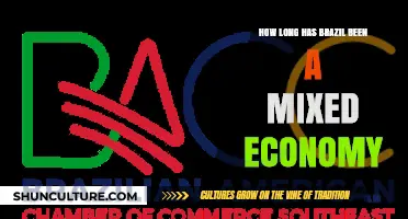 Brazil's Mixed Economy: A Historical Journey and Evolution