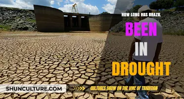 Brazil's Drought Crisis: Understanding the Duration and Impact