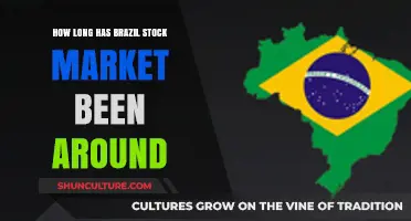 Tracing Brazil's Stock Market History: A Journey Through Time