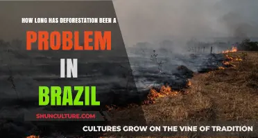 Brazil's Deforestation Crisis: A Historical Overview of Environmental Challenges