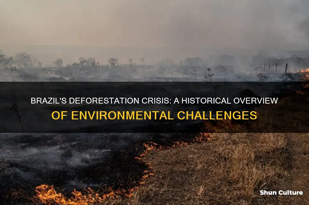 how long has deforestation been a problem in brazil