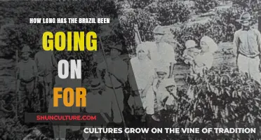 Exploring Brazil's Enduring Legacy: A Timeline of Its Rich History