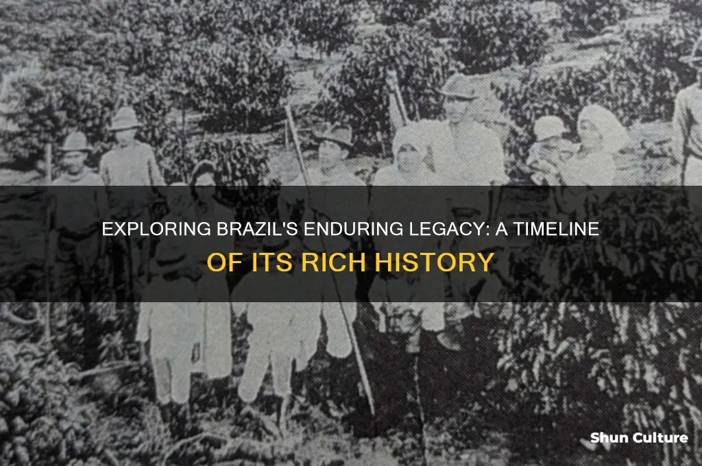 how long has the brazil been going on for