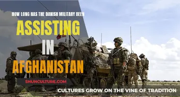 Danish Military: Afghanistan's Longtime Ally