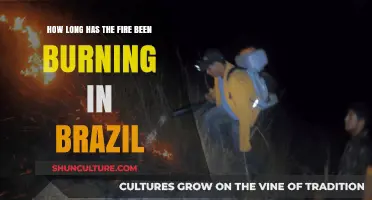 Brazil's Burning Forests: How Long Has the Fire Raged On?