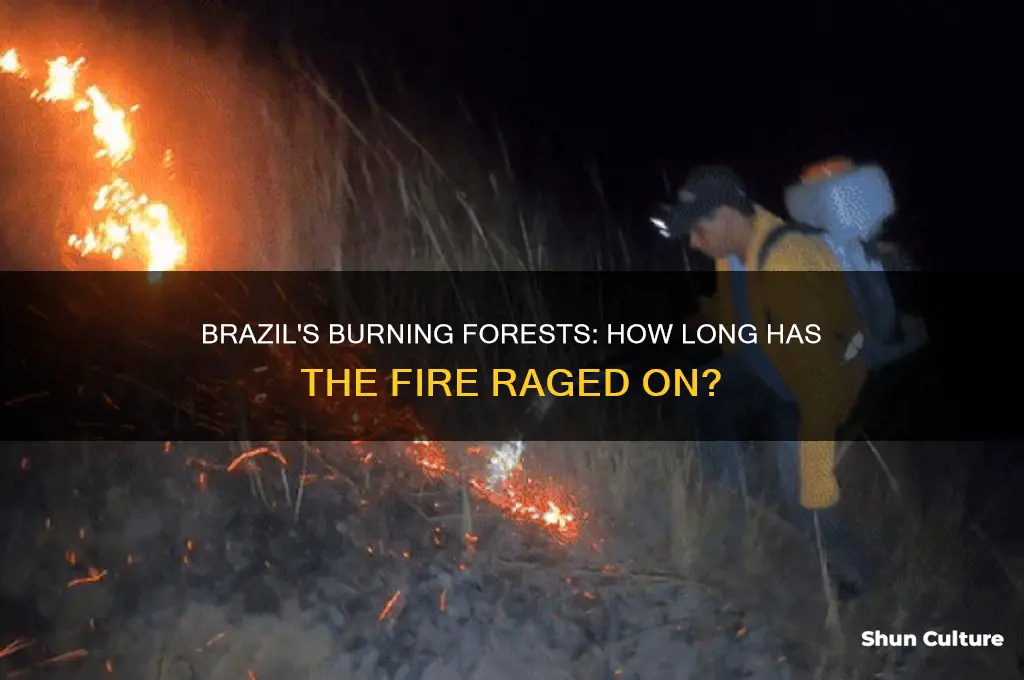how long has the fire been burning in brazil