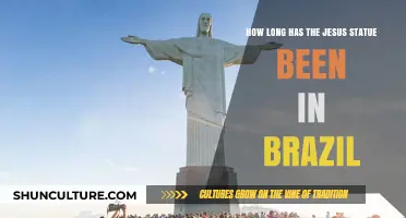 The Iconic Christ the Redeemer Statue's Enduring Legacy in Brazil