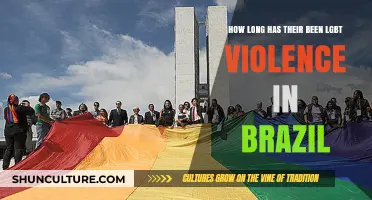 LGBT Violence in Brazil: A Historical Overview of Persecution