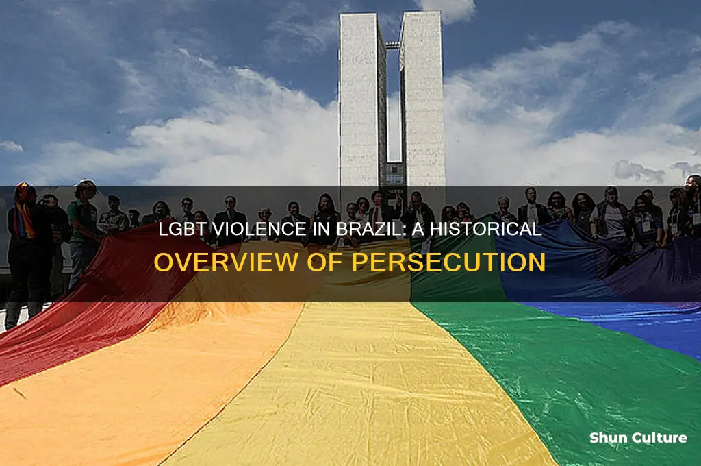 how long has their been lgbt violence in brazil