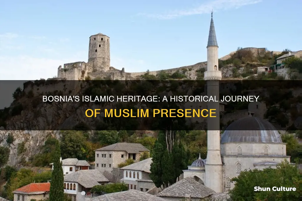 how long have muslims lived in bosnia