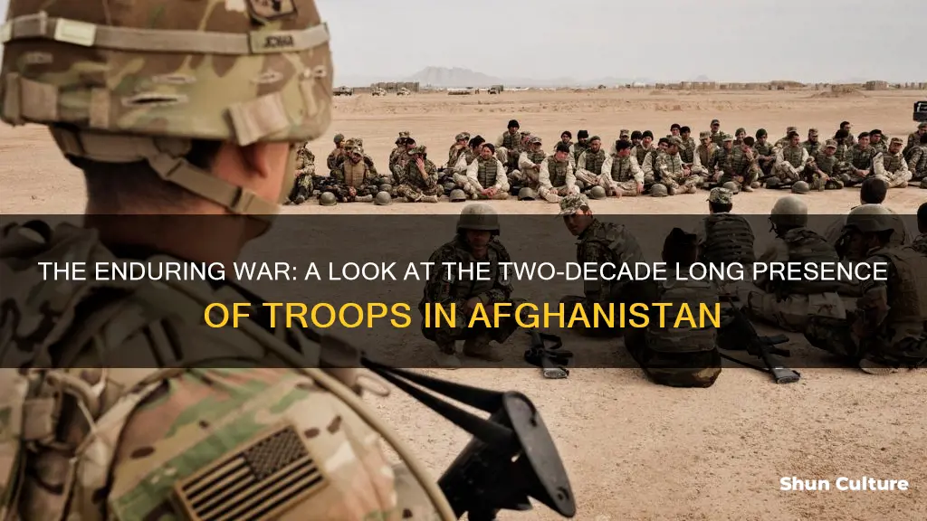 how long havewe hadtroopsin afghanistan