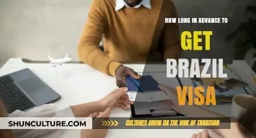 Planning Your Brazil Trip: Visa Processing Timeframe Explained