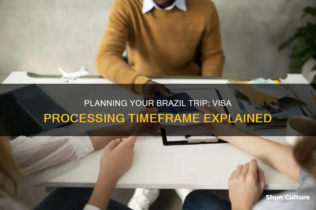 how long in advance to get brazil visa