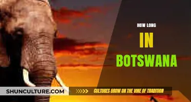 Exploring Botswana: Ideal Duration for an Unforgettable Safari Adventure