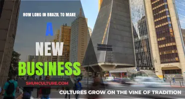 Starting a Business in Brazil: Ideal Timeframe for Success