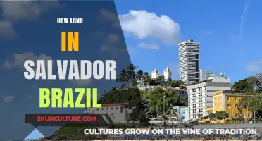 Exploring Salvador, Brazil: Ideal Duration for an Unforgettable Adventure