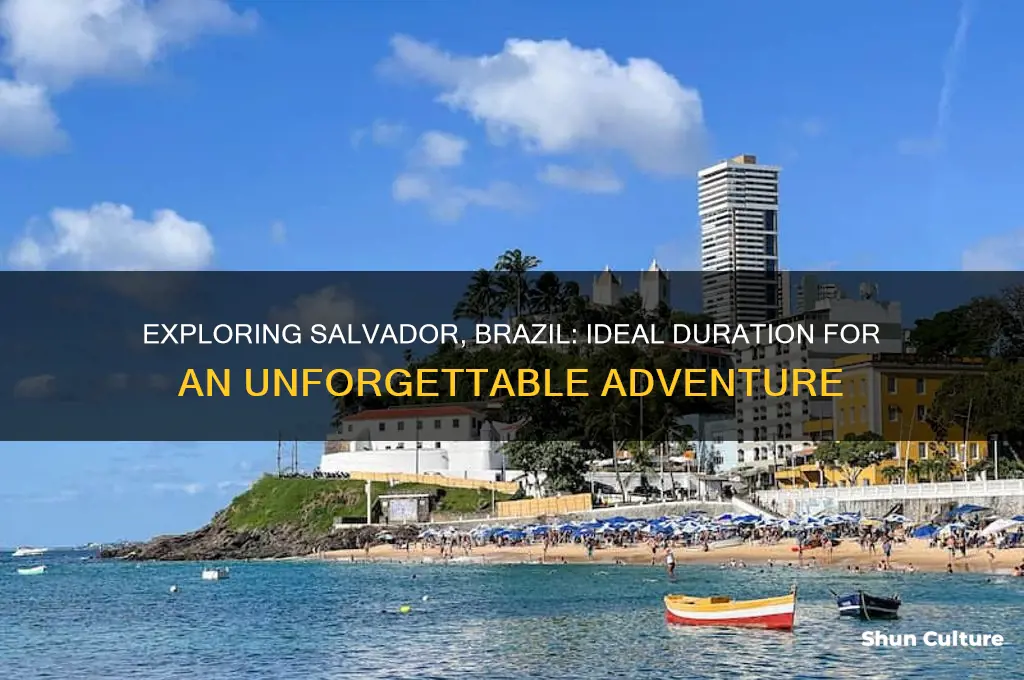 how long in salvador brazil