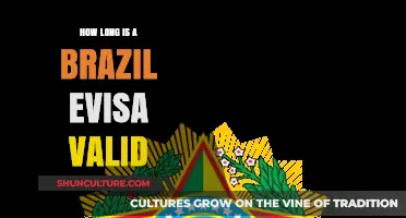 Brazil eVisa Validity: Duration and Renewal Explained for Travelers