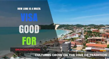 Brazil Visa Validity: Duration and Renewal Explained for Travelers
