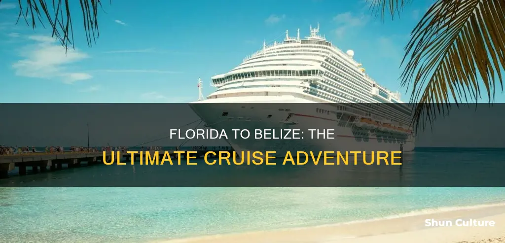 how long is a cruise from florida to belize