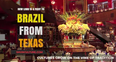 Texas to Brazil Flight Duration: What to Expect in the Air