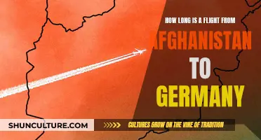 A Flight Across Continents: The Journey from Afghanistan to Germany