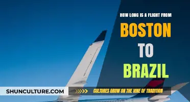 Boston to Brazil Flight Duration: What to Expect in the Air