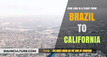 Brazil to California Flight Duration: What to Expect in the Air