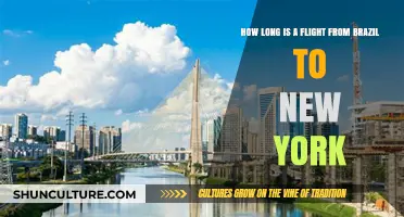Brazil to New York Flight Duration: What to Expect