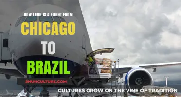 Chicago to Brazil Flight Duration: What to Expect in the Air