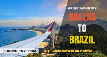 Dallas to Brazil Flight Duration: What to Expect in the Air