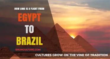 Egypt to Brazil Flight Duration: A Comprehensive Travel Time Guide