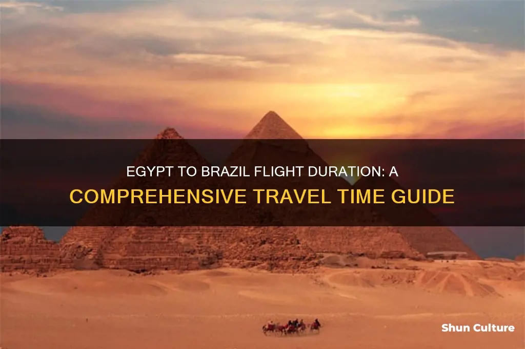 how long is a flight from egypt to brazil