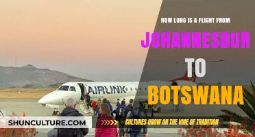 Johannesburg to Botswana Flight Duration: What to Expect