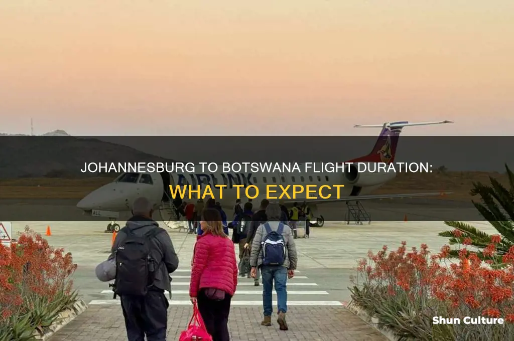 how long is a flight from johannesburg to botswana