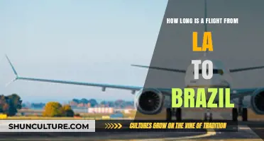 LA to Brazil Flight Duration: What to Expect in the Air