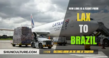 LAX to Brazil Flight Duration: What to Expect in the Air